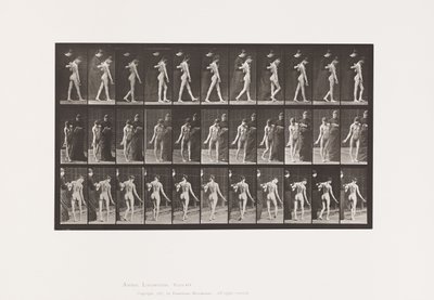 Prato 541. Esclerose Múltipla Cerebro-espinhal (Coreica); Caminhada de Eadweard Muybridge