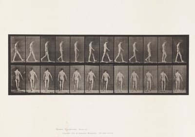Placa 546. Ataxia do Locomotor; Andando, 1885 de Eadweard Muybridge