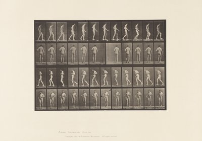 Placa 548. Esclerose lateral; A, B, Andando, 1885 de Eadweard Muybridge