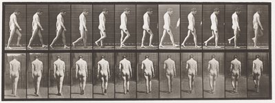Placa 549.Epilepsia; Andando, 1885 de Eadweard Muybridge