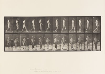 Placa 551.Epilepsia; Andando, 1885 de Eadweard Muybridge