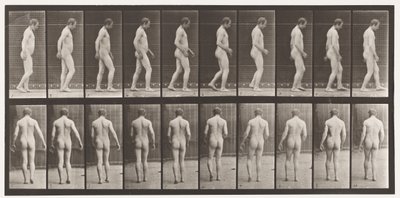 Placa 553.Após o Traumatismo da Cabeça; Andando, 1885 de Eadweard Muybridge