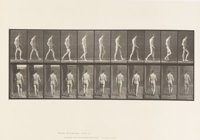 Placa 554. Ataxia do Locomotor; Andando, 1885 de Eadweard Muybridge