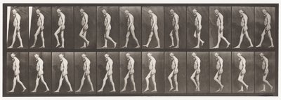 Placa 555. Atrofia Muscular das Pernas; Adulto, A, B, Andando, 1885 de Eadweard Muybridge