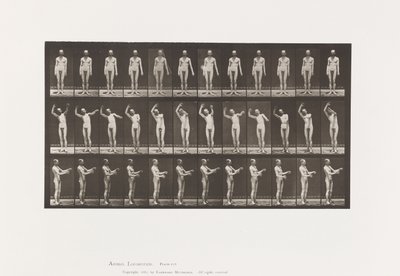 Placa 557.Coreia Local; A, B, C, em pé, 1885 de Eadweard Muybridge
