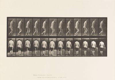 Placa 558.Paraplegia; Parcial; Andando, 1885 de Eadweard Muybridge