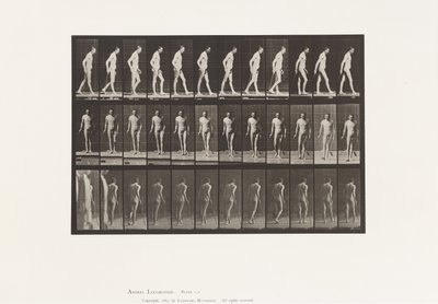 Prato 559. Esclerose disseminada; Caminhando com Cana de Eadweard Muybridge