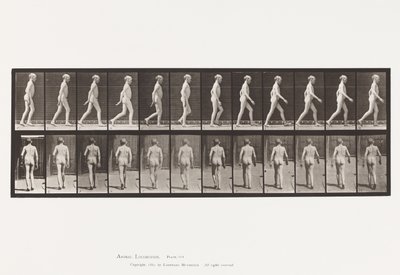 Prato 562. Curvatura Lateral da Coluna Vertebral; Caminhada de Eadweard Muybridge