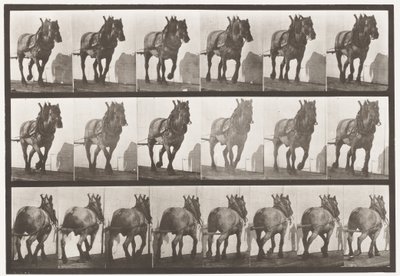 Placa 566.Hauling; Cinzento Escuro Cavalo Belga Dusel, 1885 de Eadweard Muybridge