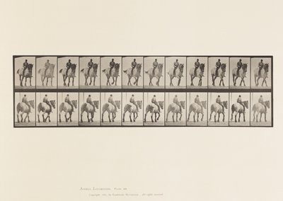 Prato 578.Caminhada; Costas Desprotegidas; Pusel de Cavalo Belga Cinzento Escuro de Eadweard Muybridge