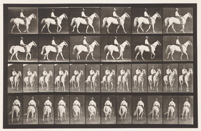 Placa 579. Andar; Selim; Cavalo branco Elberon, 1885 de Eadweard Muybridge