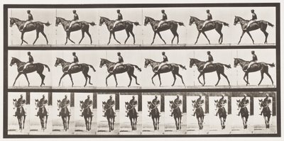 Placa 580. Andar; Selim; Baía de puro-sangue Mare Annie G., 1885 de Eadweard Muybridge