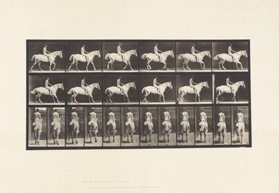 Prato 582. Andar; Sela; Cavaleiro, 43, Nu; Smith Cavalo Cinzento Claro de Eadweard Muybridge