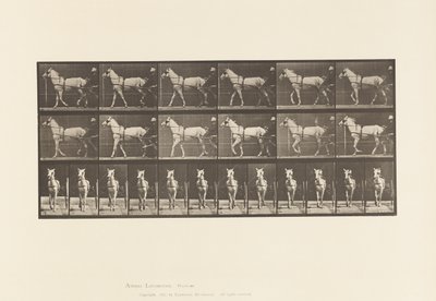 Placa 586. Andar; Sulky; Mare Cinza Claro, Katydid, 1885 de Eadweard Muybridge