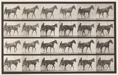 Placa 587. Andar; Sulky; Sorrel Mare Nellie Rose, 1885 de Eadweard Muybridge