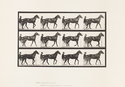 Placa 588. Andar; Sulky; Cavalo de Baía Reuben, 1885 de Eadweard Muybridge
