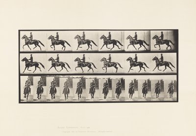 Prato 593. Rocking (Embalagem): Sela; Cavalo Castanho Pronto de Eadweard Muybridge