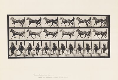 Prato 595. Rocking (Embalagem): Sulky; Brown Horse Pronto de Eadweard Muybridge