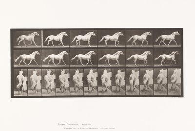 Prato 596. Trotador; Livre; Águia Cavalo Cinzento Claro de Eadweard Muybridge
