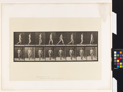 Placa 5. Caminhada de Eadweard Muybridge