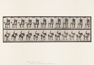 Placa 600. Trotando; Bareback; Dusel Cinzento Escuro de Eadweard Muybridge