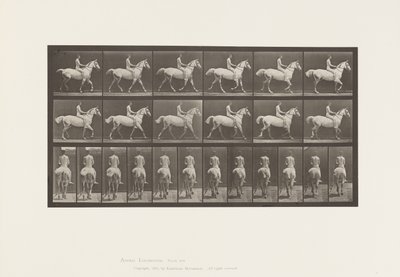 Placa 602.Trotting; Bareback; Cavaleiro, 43 anos, Nu; Cavaleiro Cinzento Claro, 1885 de Eadweard Muybridge