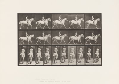 Placa 603. Trote; Sela; Cavalgada, 43, Larga, Cavalo Cinzento Claro Smith de Eadweard Muybridge