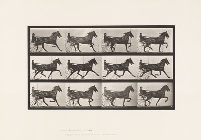 Placa 606. Trotting; Sulky; Bay Horse, Reuben de Eadweard Muybridge