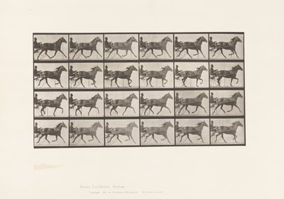 Placa 607. Trotting; Sulky; Bay Mare, Lizzie M. de Eadweard Muybridge