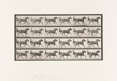 Placa 609. Trotting; Sulky; Bay Mare, Lizzie M. de Eadweard Muybridge