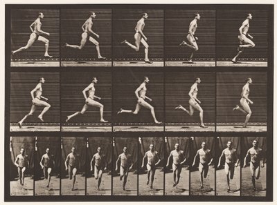 Ilustração 60. Corrida com Andamento de Meia Milha (sapatos) de Eadweard Muybridge