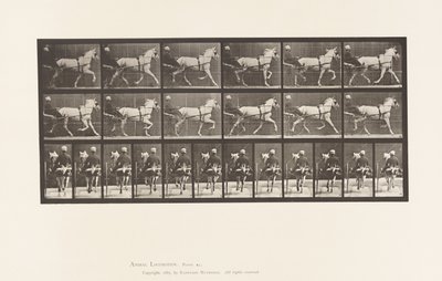 Placa 611. Trotting; Sulky; Gray Mare, Katydid de Eadweard Muybridge