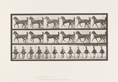 Placa 612. Trotador; Sulky; Bay Horse, Dereumd de Eadweard Muybridge