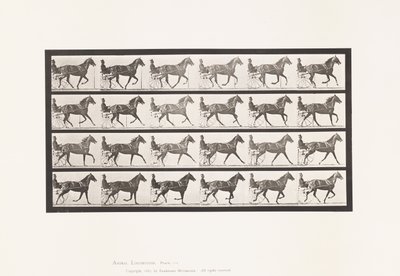 Placa 614. Trotando; Quebrando para Gallop; Sorrel Mare Flode Holden de Eadweard Muybridge