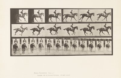 Placa 620. Canter; Saddle; Thoroughbred Bay Mare Annie 6. de Eadweard Muybridge