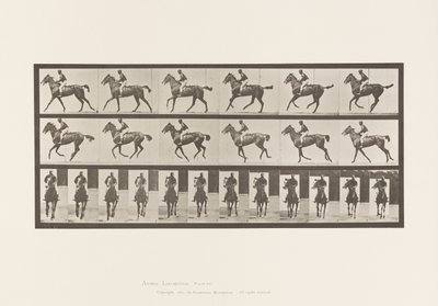 Placa 621. Canter; Saddle; Thoroughbred Bay Mare Annie 6 de Eadweard Muybridge
