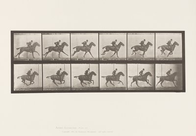 Placa 624. Galope; Sela; Margarida Bay Horse Daisy de Eadweard Muybridge