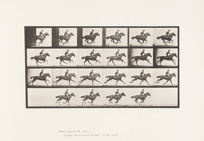 Placa 625. Gallop; Thoroughbred Bay Horse Bouquet de Eadweard Muybridge