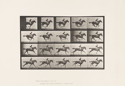 Placa 627. Gallop; Annie G. de Bay Mare Mare de puro-sangue. de Eadweard Muybridge