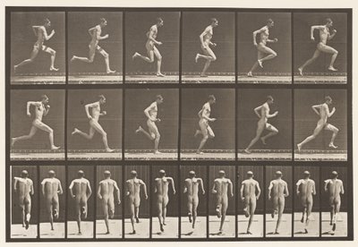 Placa 62. Correndo a toda velocidade., 1872-1885 de Eadweard Muybridge