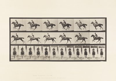 Placa 632. Galope; Sela; Cavalo Puro Sangue da Baía Bouquet de Eadweard Muybridge