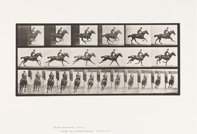 Placa 633. Galope; Sela; Cavalo puro-sangue da Baía Bouquet de Eadweard Muybridge