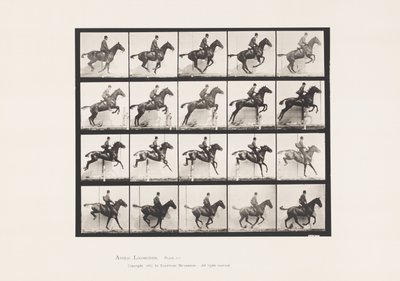 Placa 640. Saltar a Hurdle; Saddle; Bay Horse Horse Daisy de Eadweard Muybridge