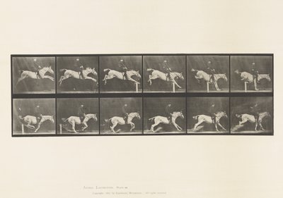 Placa 641. Saltar um obstáculo; Sela; Derrubar um obstáculo e de Eadweard Muybridge