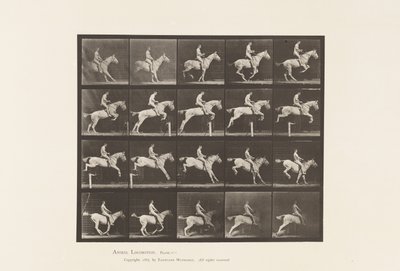 Placa 642. Saltando um Obstáculo; Selim; Cavaleiro, 105, Nu; Mare cinza, 1885 de Eadweard Muybridge
