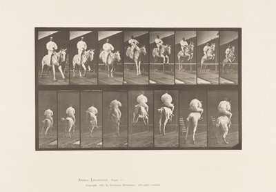 Placa 644. Saltar um obstáculo; Sela; Desembarque e Aterragem de Eadweard Muybridge