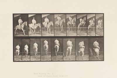 Placa 645.Jumping a Hurdle; Saddle; Clearing e Landing de Eadweard Muybridge