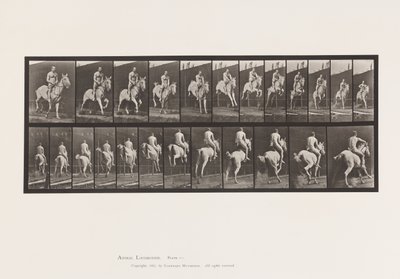 Placa 646. Saltando um Obstáculo; Selim; Cavaleiro, 105, Nu ;, 1885 de Eadweard Muybridge