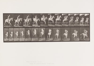 Placa 647. Saltar um obstáculo; Bareback; Cavaleiro de Eadweard Muybridge