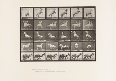 Placa 652. A, B, C, D, E, Criação de Cavalos, etc. de Eadweard Muybridge